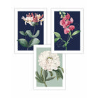 Vintage Flowers Honeysuckle Blue and Green Set of 3 Wall Art Prints