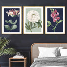 Vintage Flowers Honeysuckle Blue and Green Set of 3 Wall Art Prints