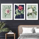 Vintage Flowers Camellia Blue and Green Set of 3 Wall Art Prints