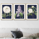 Vintage Flowers Lilac, Peony and Camellia Set of 3 Wall Art Prints