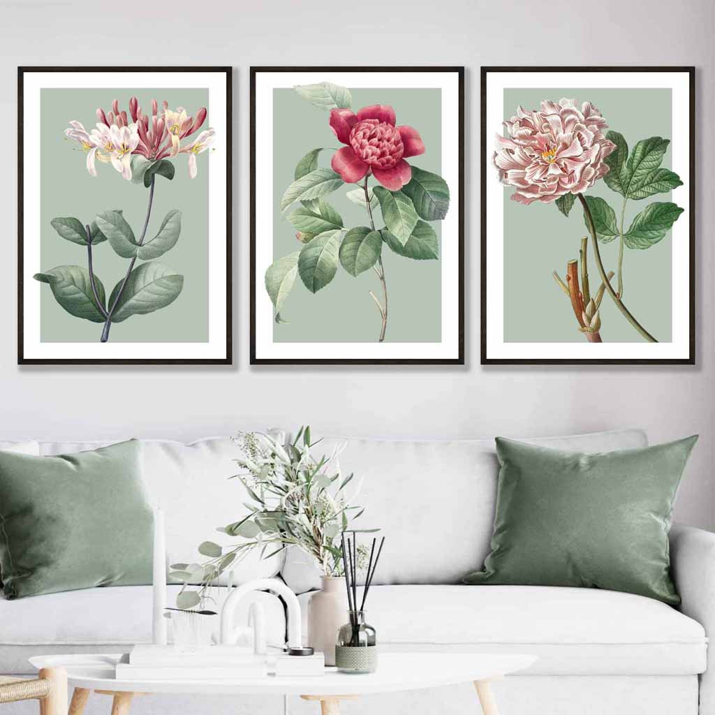 Vintage Flowers Honeysuckle, Peony Set of 3 Wall Art Prints