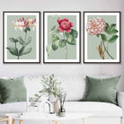 Vintage Flowers Honeysuckle, Peony Set of 3 Wall Art Prints