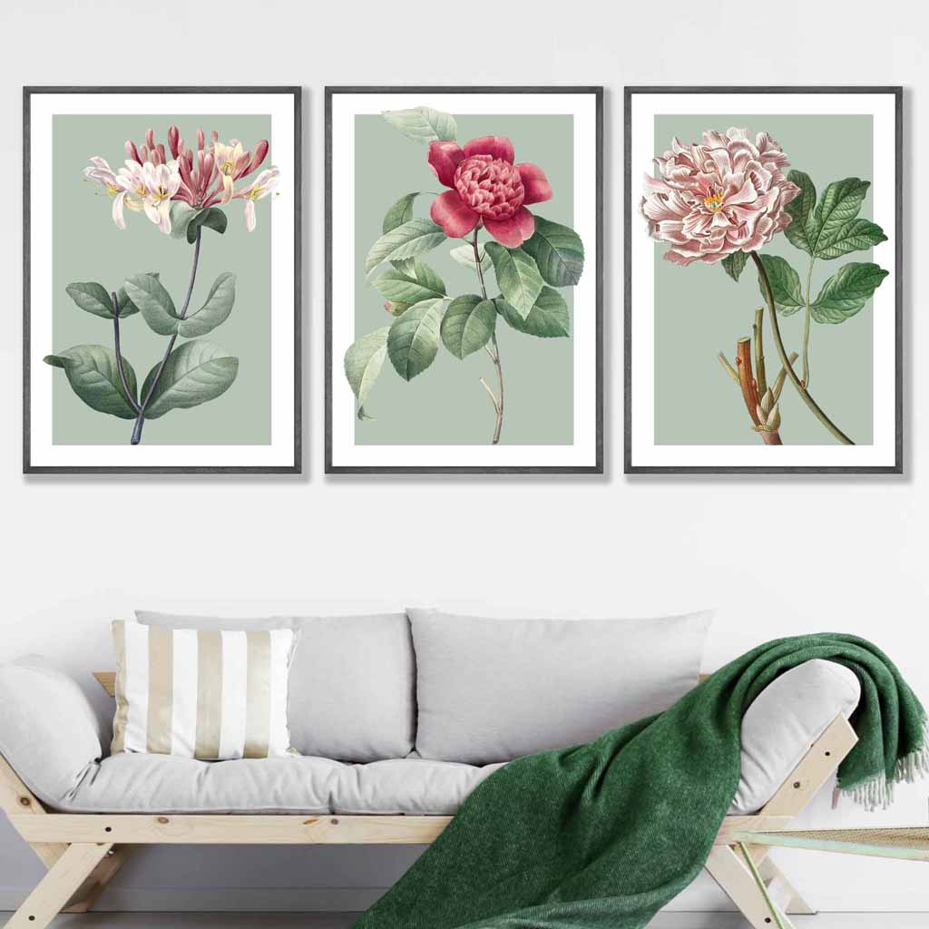 Vintage Flowers Honeysuckle, Peony Set of 3 Wall Art Prints