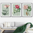 Vintage Flowers Honeysuckle, Peony Set of 3 Wall Art Prints
