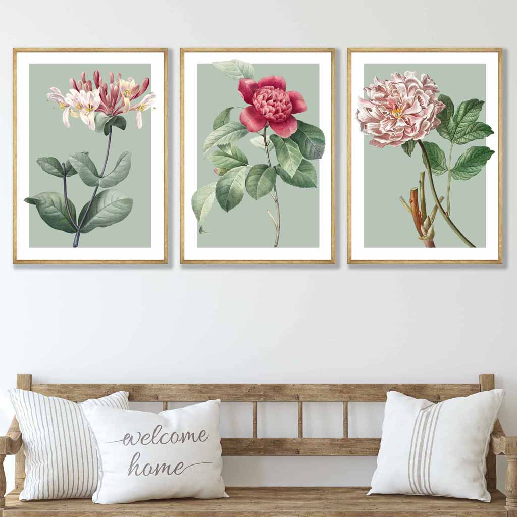 Vintage Flowers Honeysuckle, Peony Set of 3 Wall Art Prints