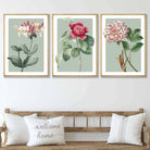 Vintage Flowers Honeysuckle, Peony Set of 3 Wall Art Prints