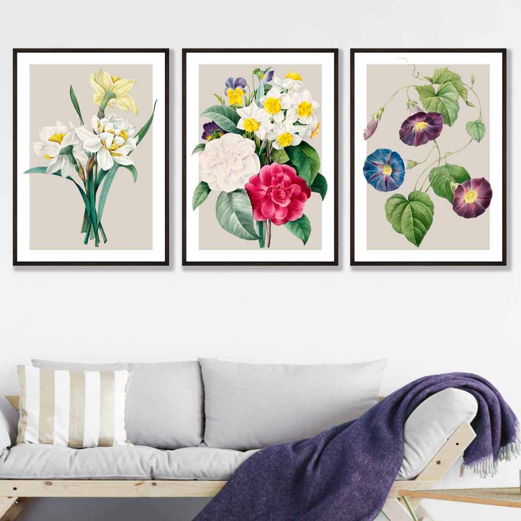 Vintage Spring Flowers Daffodil Set of 3 Wall Art Prints