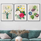 Vintage Spring Flowers Daffodil Set of 3 Wall Art Prints