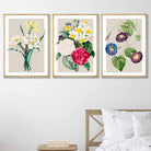 Vintage Spring Flowers Daffodil Set of 3 Wall Art Prints