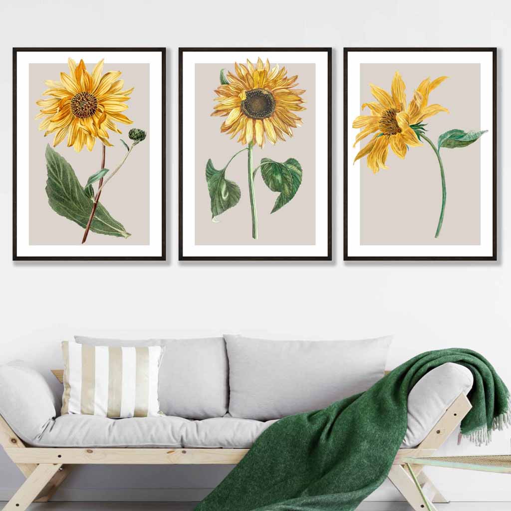 Vintage Sunflowers Set of 3 Wall Art Prints