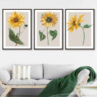 Vintage Sunflowers Set of 3 Wall Art Prints