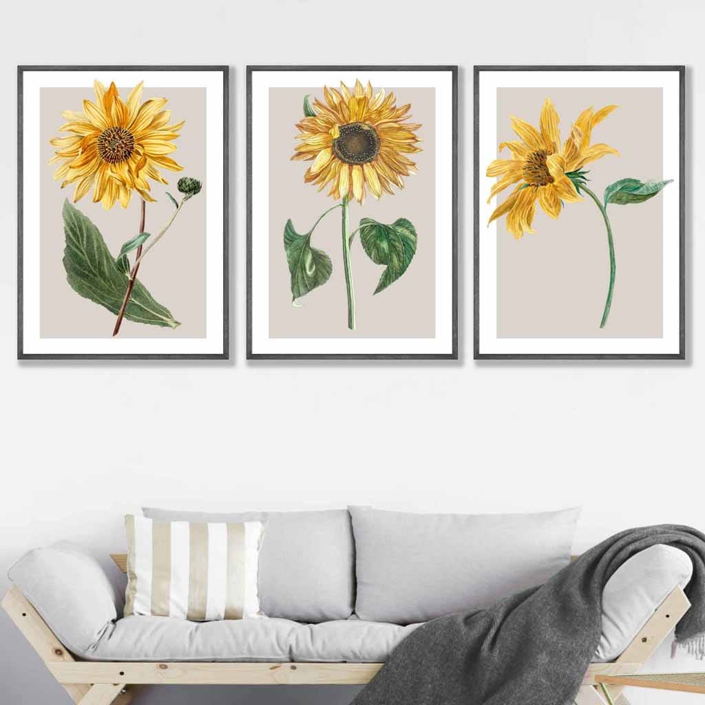 Vintage Sunflowers Set of 3 Wall Art Prints