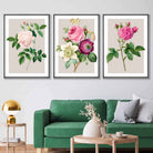 Vintage Pink and White Roses Set of 3 Wall Art Prints