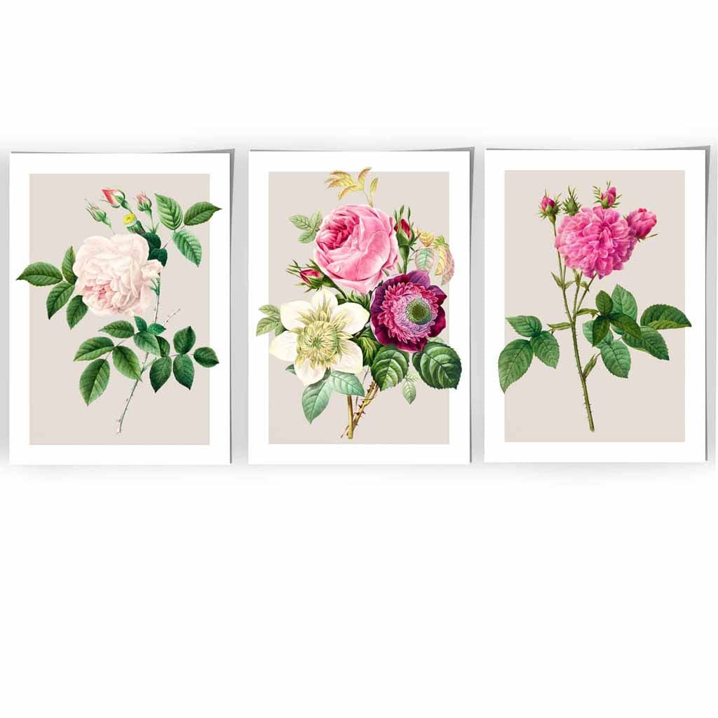 Vintage Pink and White Roses Set of 3 Wall Art Prints