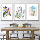 Vintage Graphical Colourful Wild Flowers Set of 3 Wall Art Prints