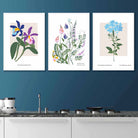 Vintage Graphical Colourful Wild Flowers Set of 3 Wall Art Prints