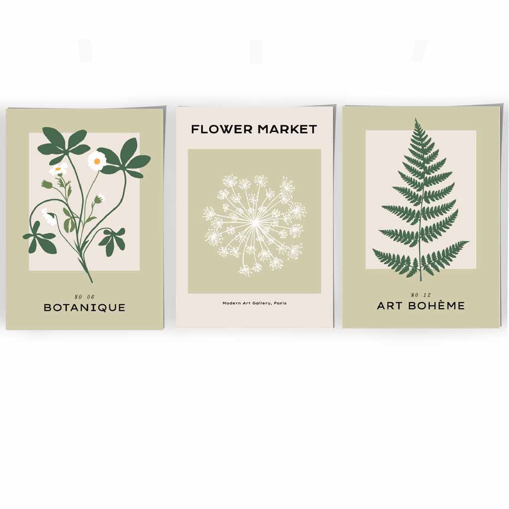 Set of 3 Vintage Graphical Green Botanical Wall Art Prints