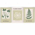 Set of 3 Vintage Graphical Green Botanical Wall Art Prints