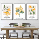 Set of 3 Vintage Graphical Yellow Spring Flowers Wall Art Prints