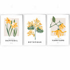 Set of 3 Vintage Graphical Yellow Spring Flowers Wall Art Prints