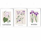 Vintage Graphical Lilac Purple Spring Flower Set of 3 Wall Art Prints
