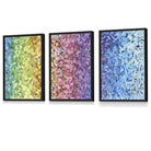 Set of 3 Abstract Colourful Rainbow Petals Framed Art Prints | Artze Wall Art UK