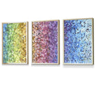 Set of 3 Abstract Colourful Rainbow Petals Framed Art Prints | Artze Wall Art UK