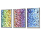 Set of 3 Abstract Colourful Rainbow Petals Framed Art Prints | Artze Wall Art UK