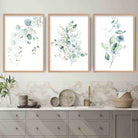 FLORAL Set of 3 Eucalyptus Blue Green Leaves Art Prints