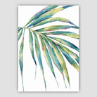 Tropical Blue Green Watercolour Papyrus Leaves Poster