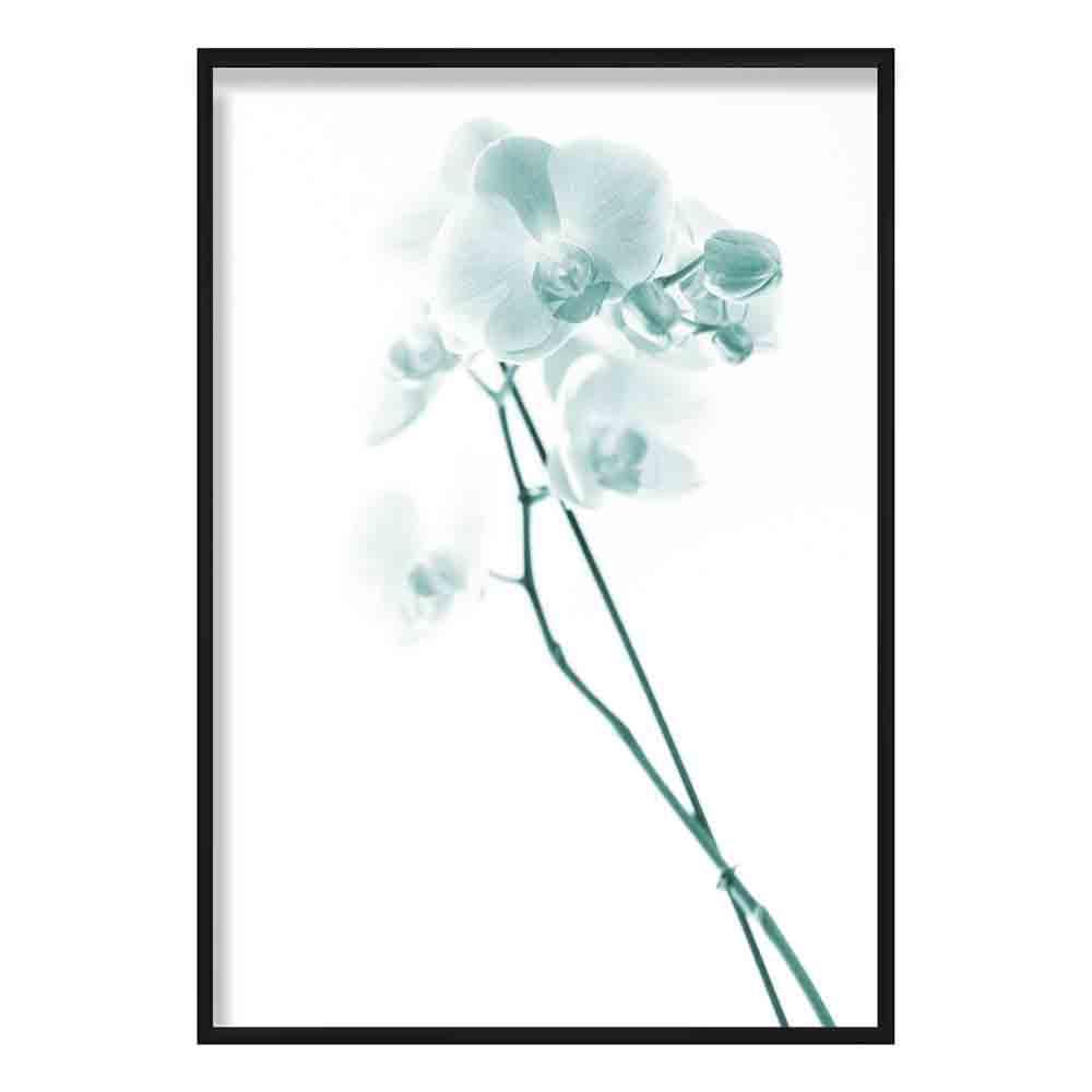 Freesia Aqua Teal Photo Print