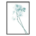 Freesia Aqua Teal Photo Print