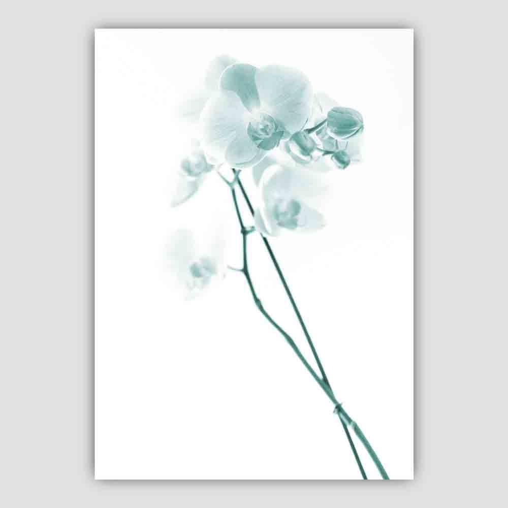 Freesia Aqua Teal Photo Print