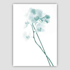 Freesia Aqua Teal Photo Print