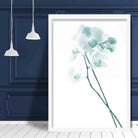 Freesia Aqua Teal Photo Print
