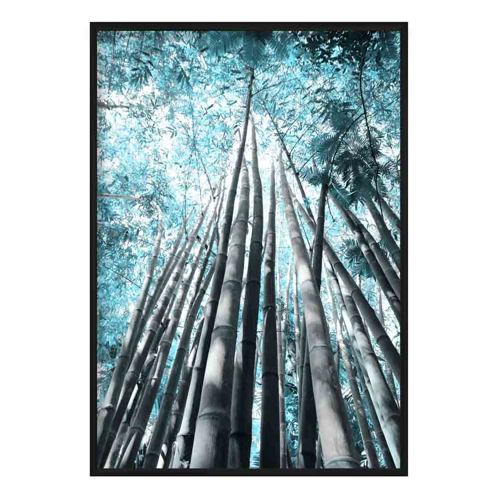 Palm Tree Canopy Aqua Photo Print