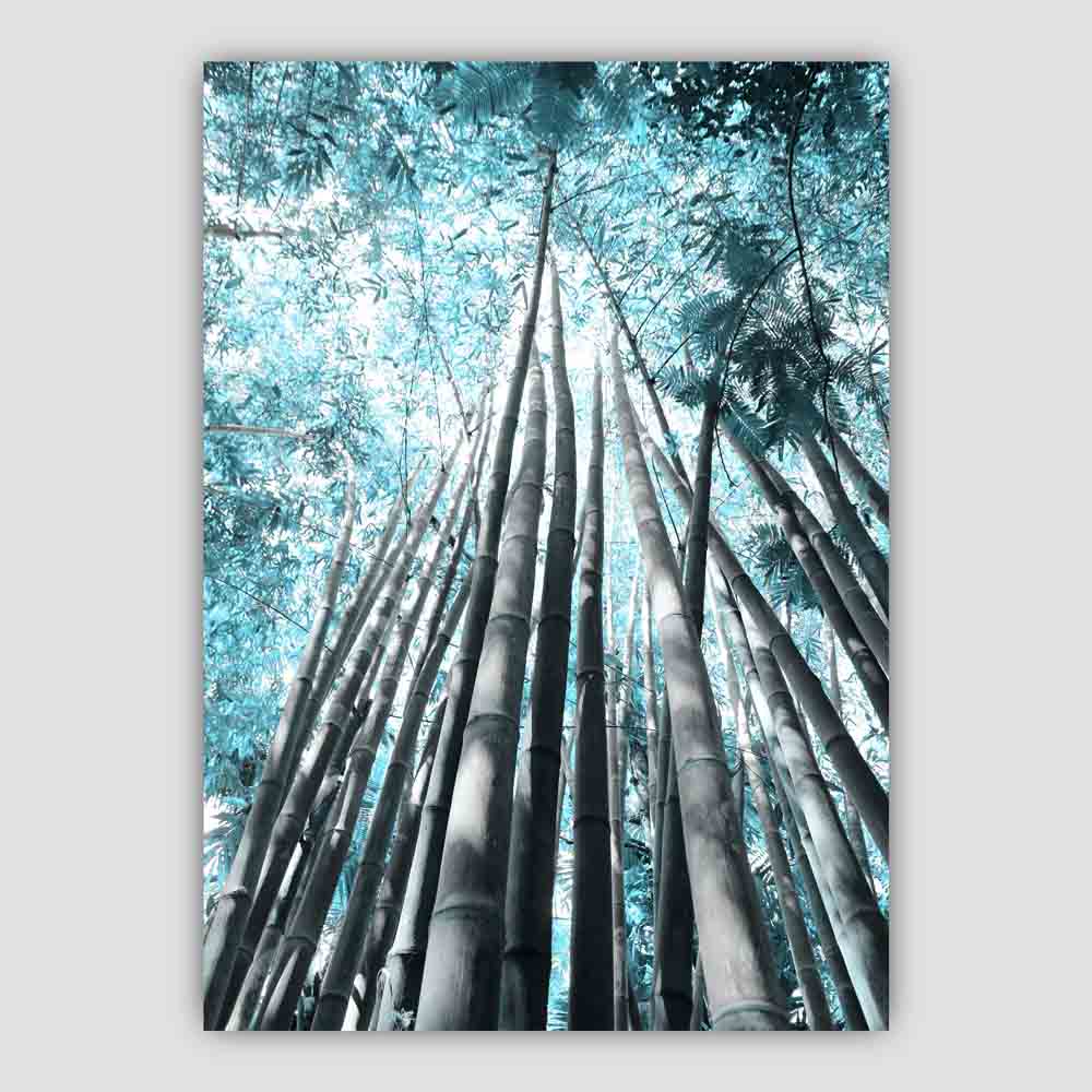 Palm Tree Canopy Aqua Photo Print