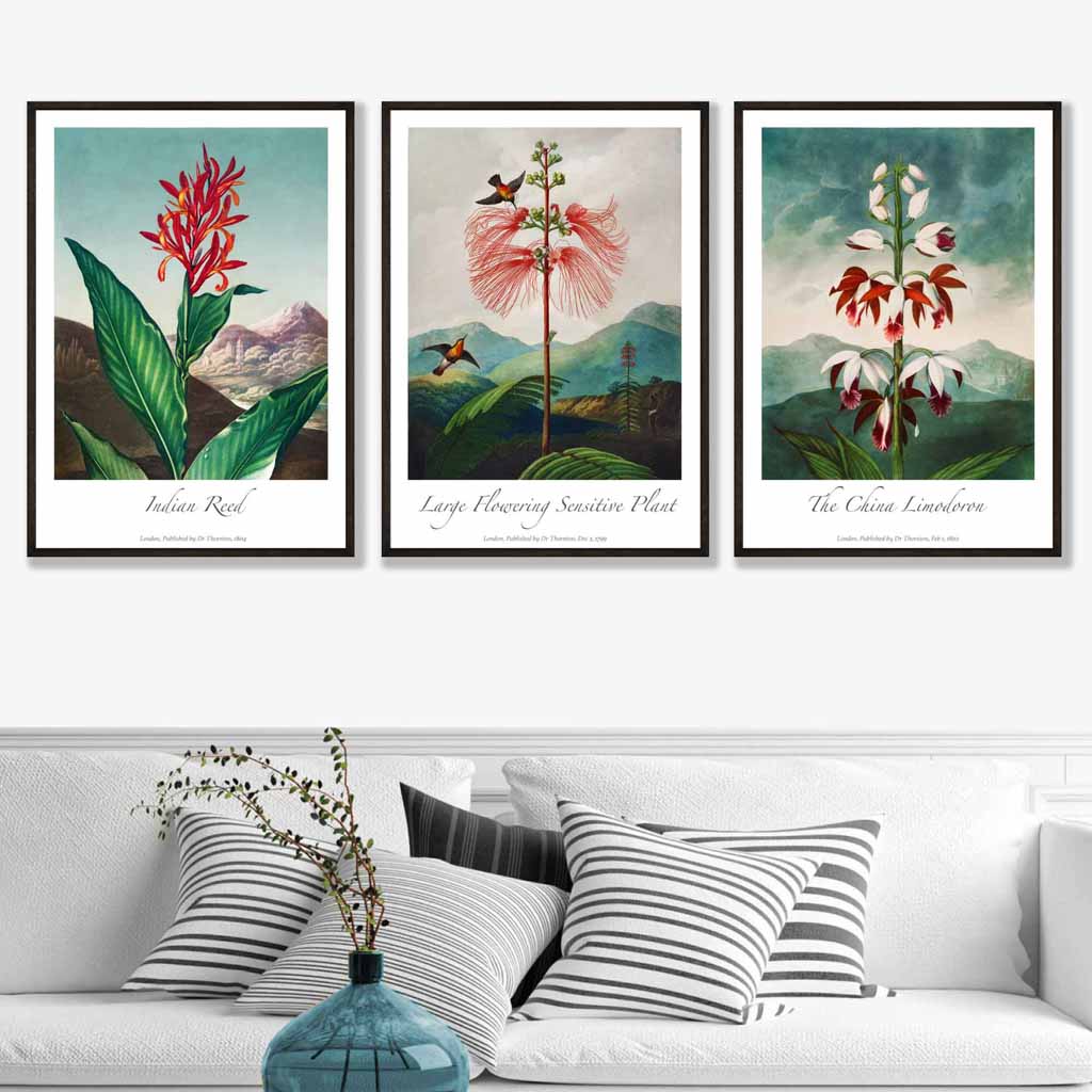 Vintage Exotic Eastern Floral Set of 3 Wall Art Prints