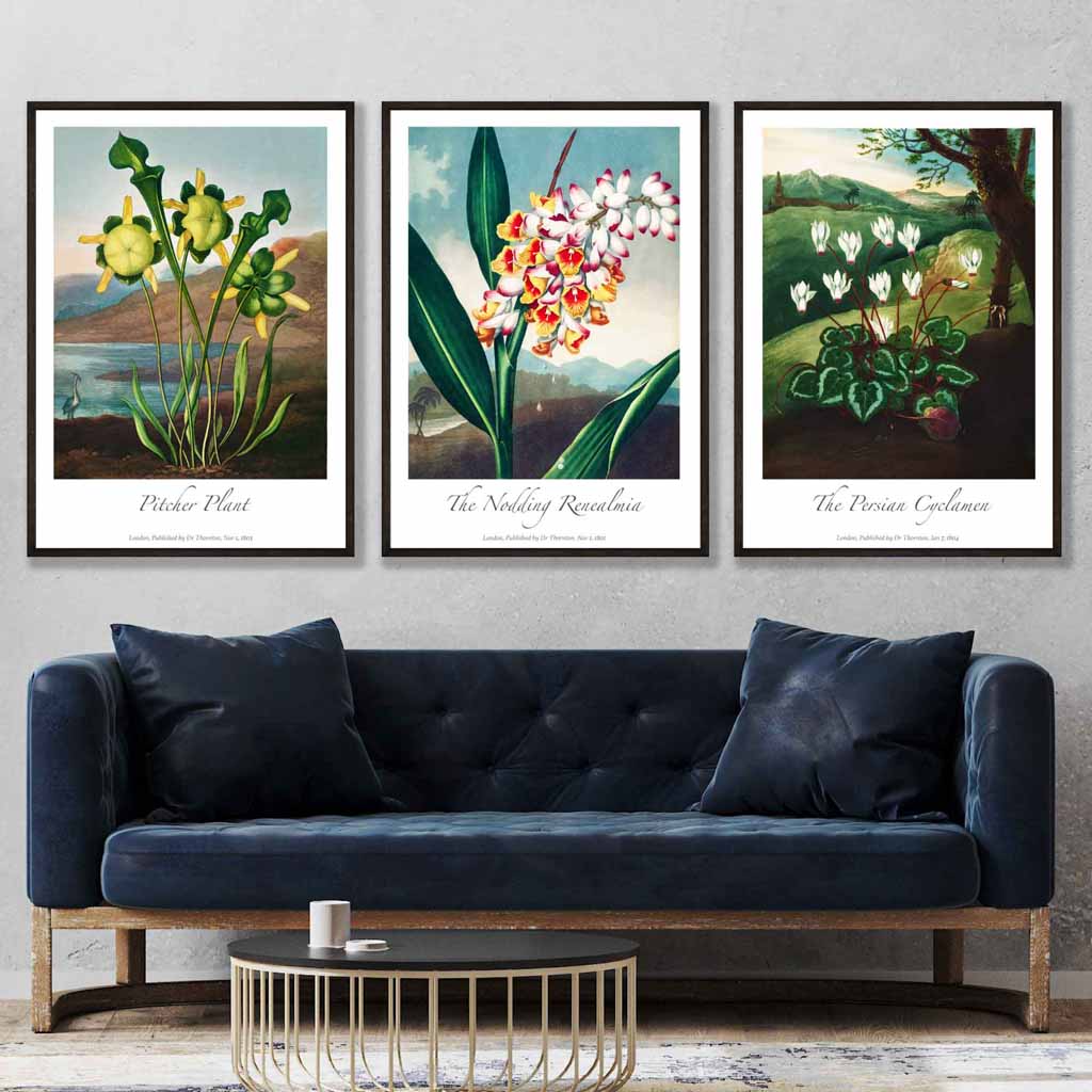 Vintage Botanical Medicinal Flowers Set of 3 Wall Art Prints