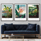 Vintage Botanical Medicinal Flowers Set of 3 Wall Art Prints