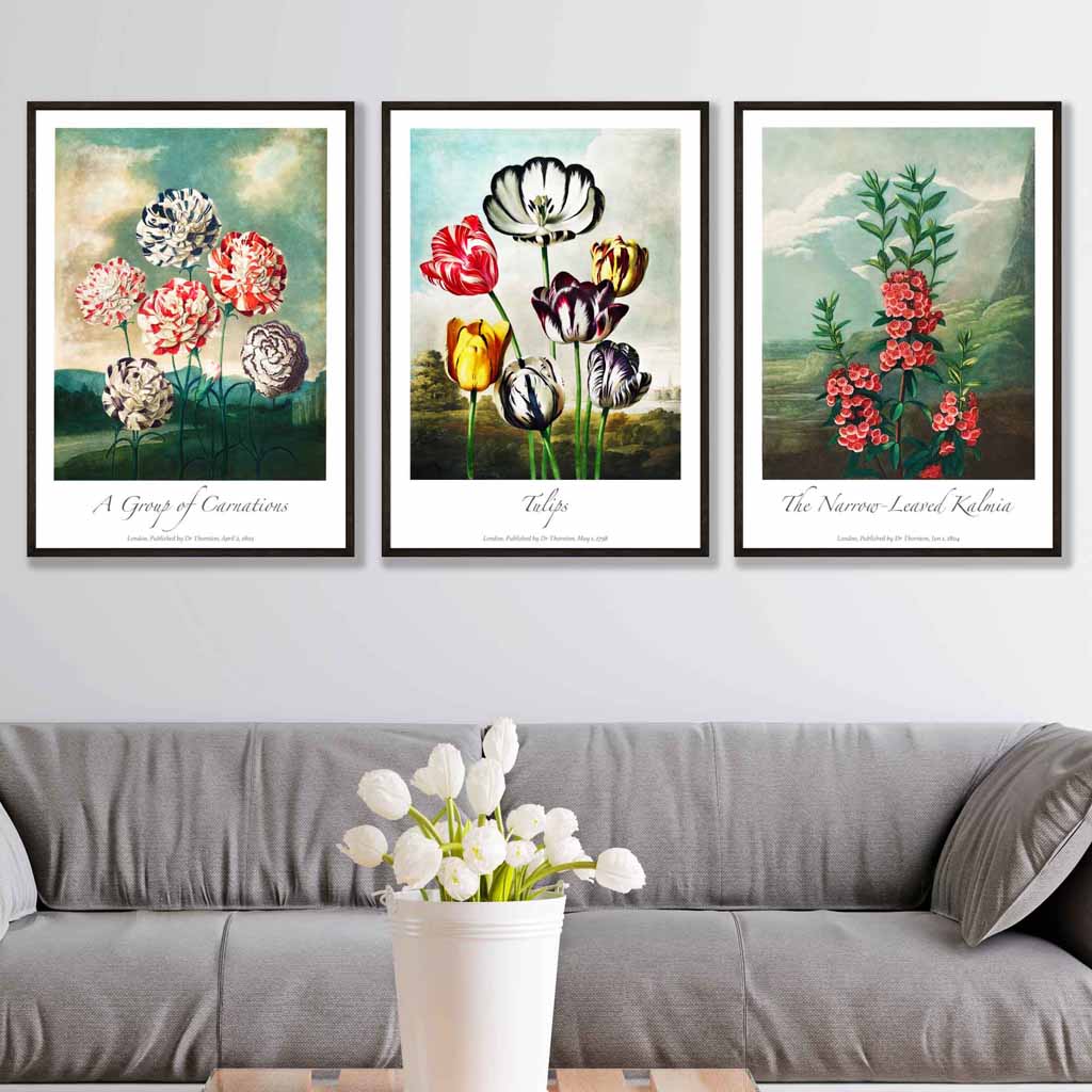Vintage Botanical Cottage Garden Flowers Carnations Set of 3 Wall Art Prints