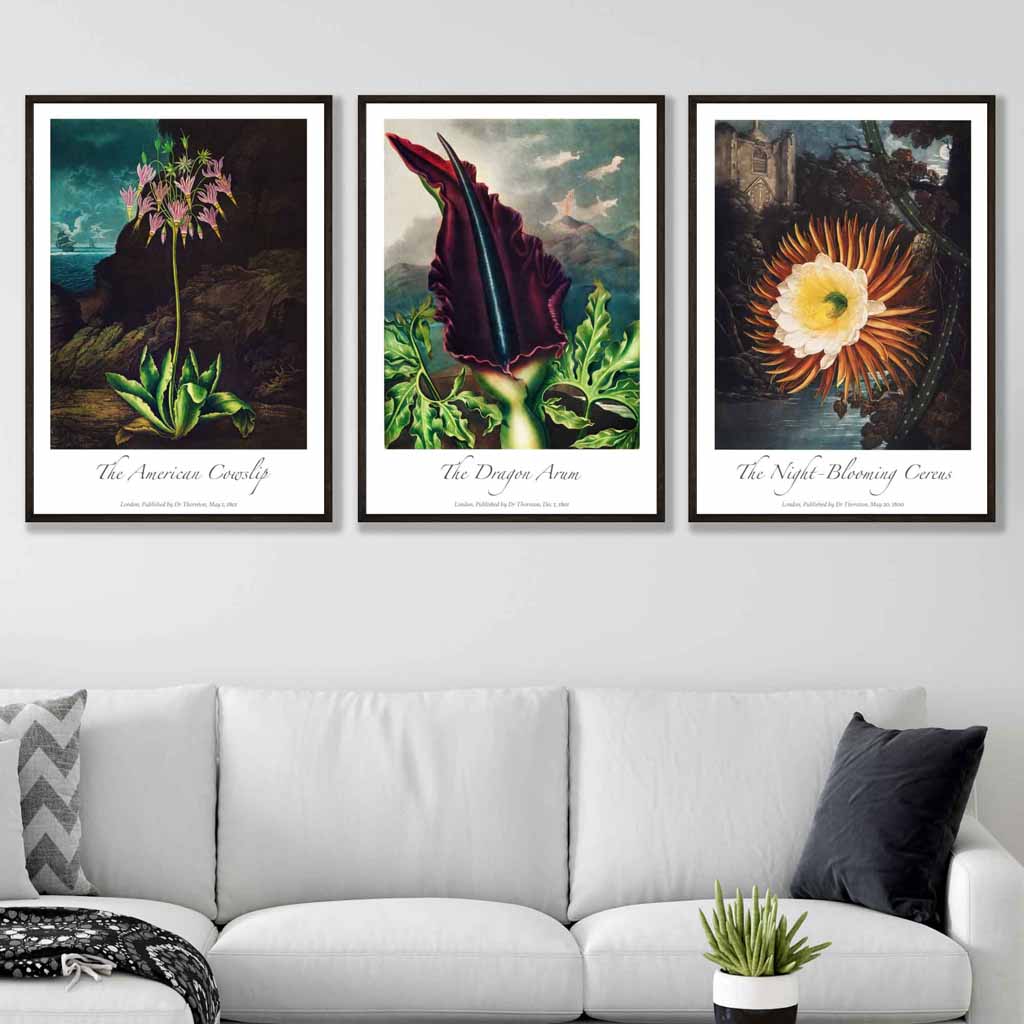 Vintage Exotic Flowers Botanical Set of 3 Wall Art Prints