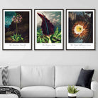 Vintage Exotic Flowers Botanical Set of 3 Wall Art Prints