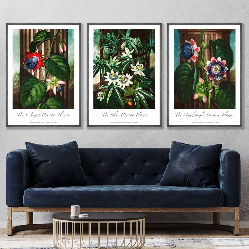 Vintage Passion Flowers Floral Set of 3 Wall Art Prints