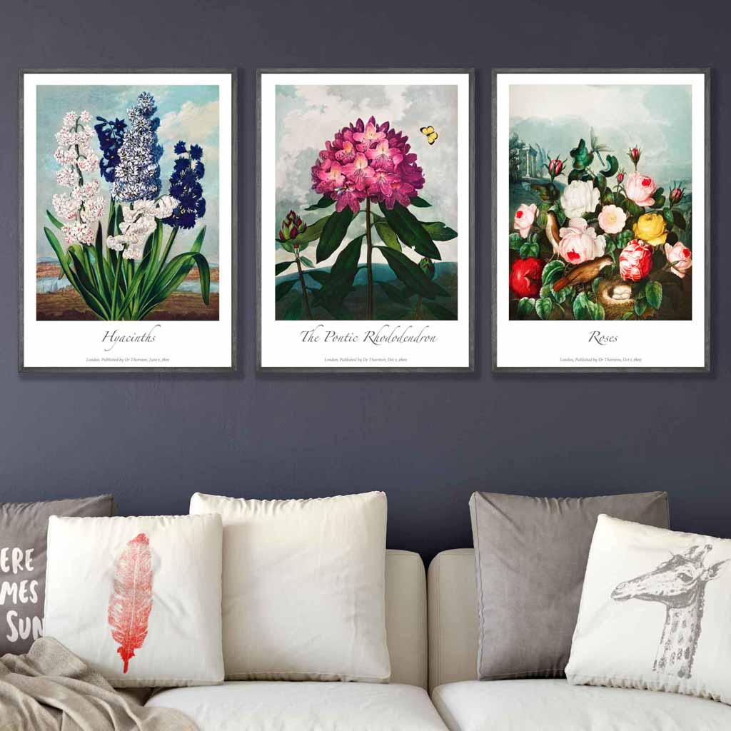 Vintage Cottage Garden Flowers Botanical Set of 3 Wall Art Prints
