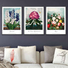 Vintage Cottage Garden Flowers Botanical Set of 3 Wall Art Prints