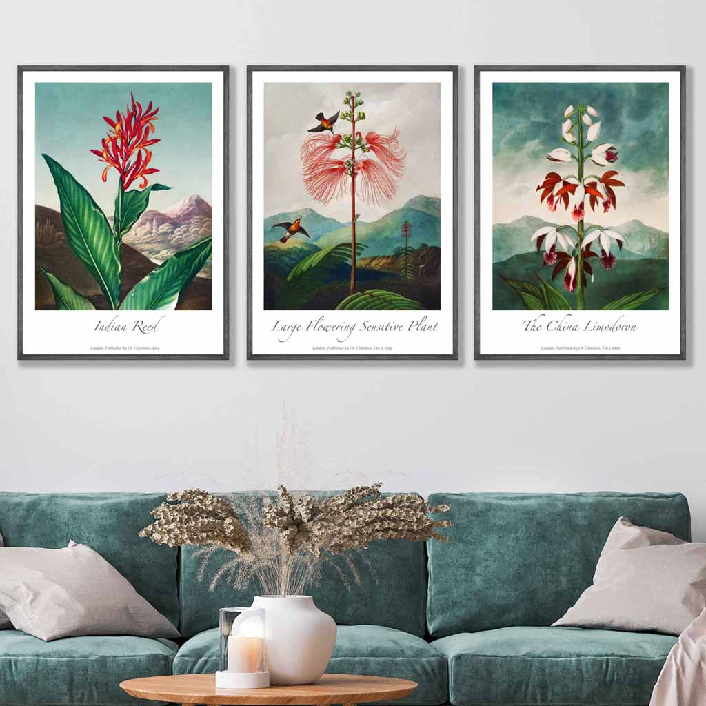 Vintage Exotic Eastern Floral Set of 3 Wall Art Prints