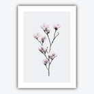 Set of 5 ORIGINAL Gallery wall ART Prints Graphical Sketch DANDELION triptych with Pair of Magnolia Art Photographs Botanical Floral