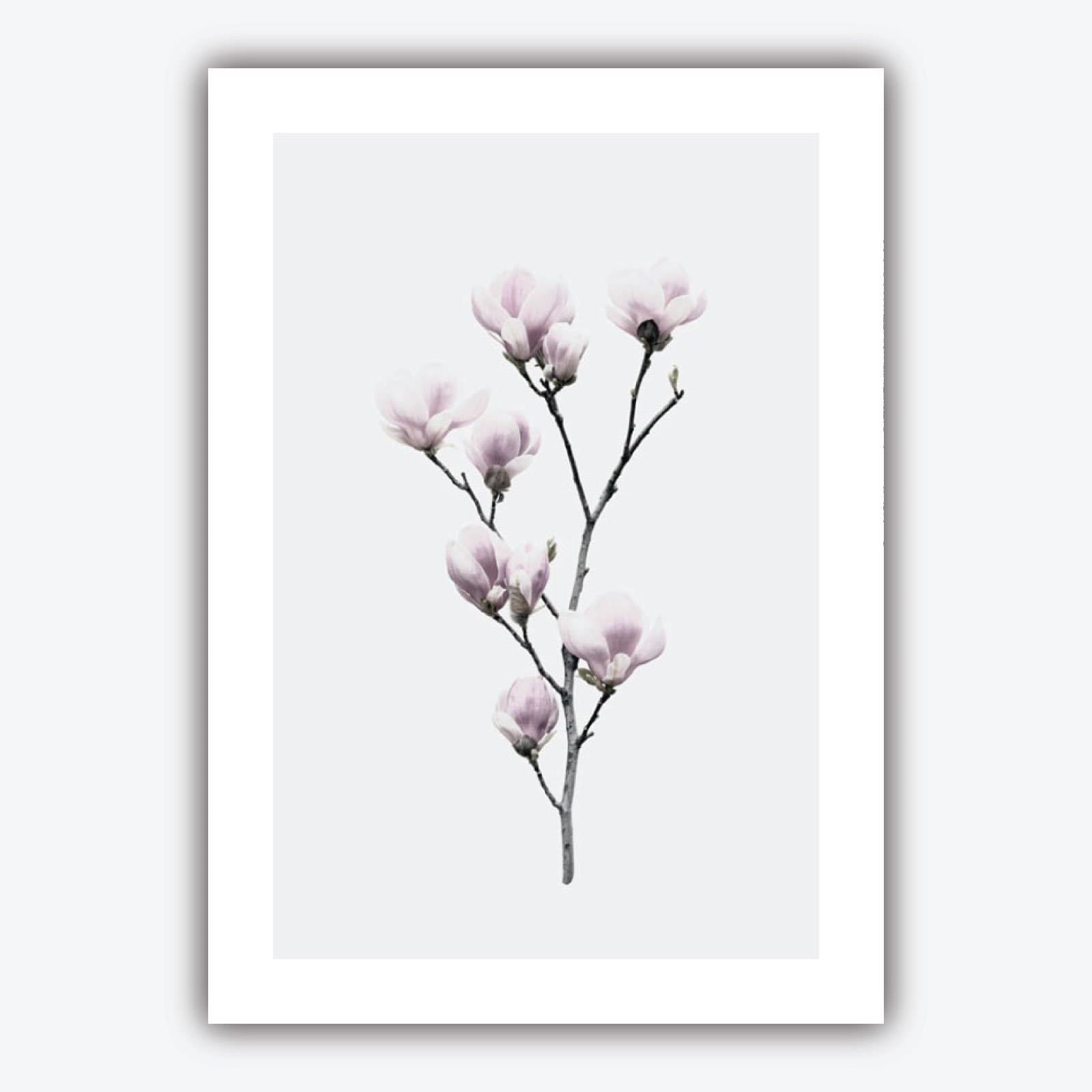 Set of 5 ORIGINAL Gallery wall ART Prints Graphical Sketch DANDELION triptych with Pair of Magnolia Art Photographs Botanical Floral