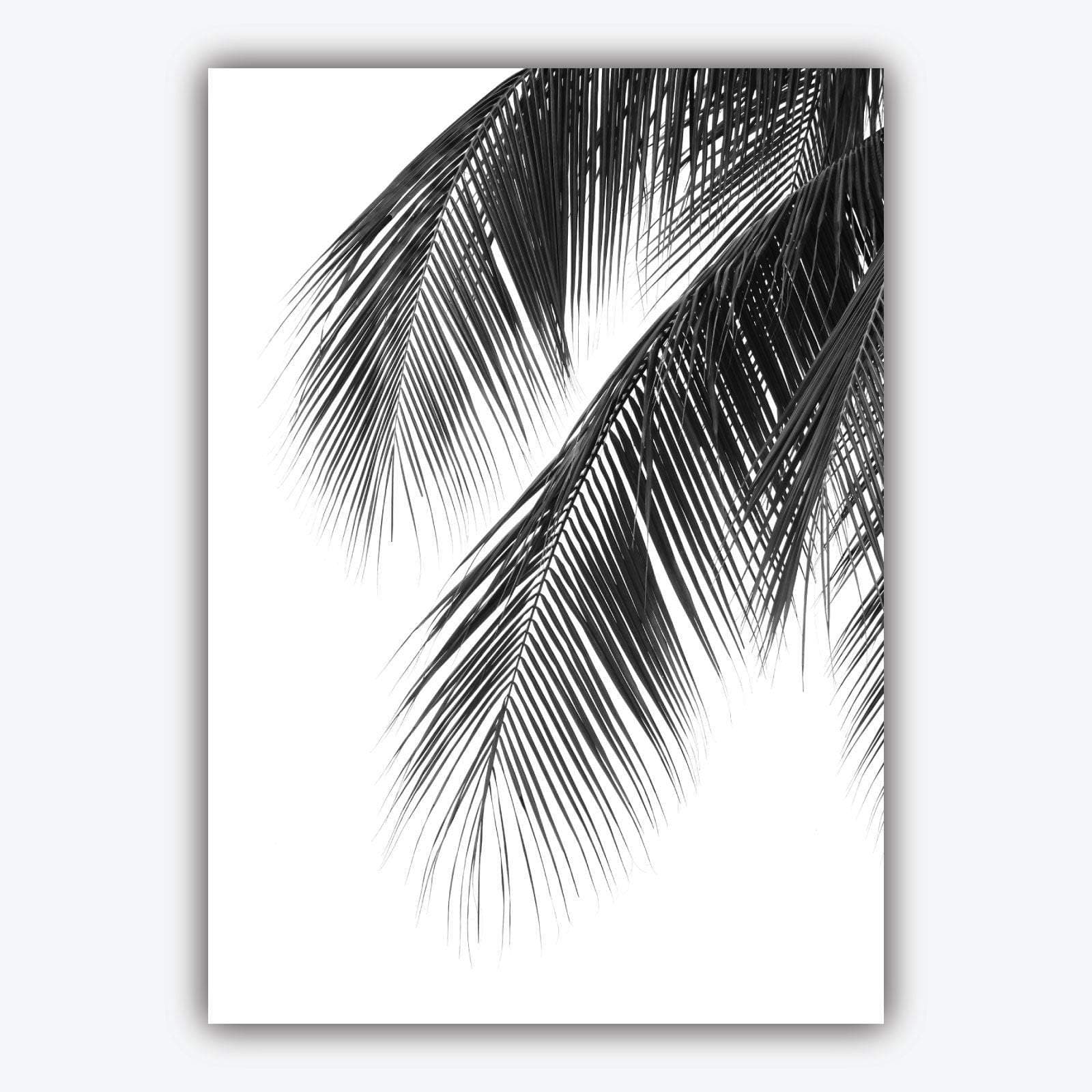 Set of 5 Gallery Wall Art Prints ORIGINAL Pink & Black ABSTRACT Botanical Palm Tree Wall Floral Pictures Posters Artwork